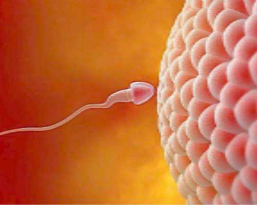 怎样提高胚胎质量,助孕价格