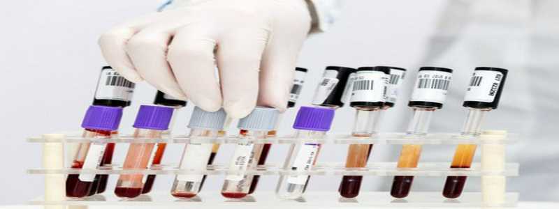 试管促排卵后多久能怀孕生孩子呢-试管促排卵后多久能怀孕生孩子呢,代生中心