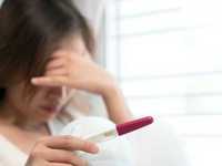 试管婴儿胚胎冷冻多久移植最好_试管婴儿胚胎可以冷冻多久,代怀生子价格