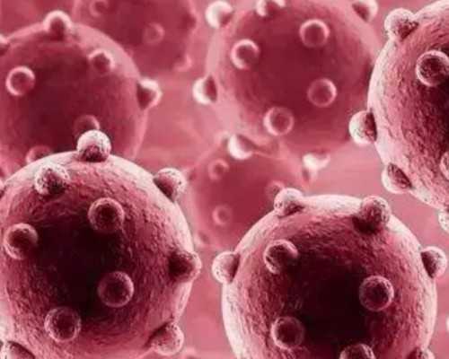 取卵5个能配成几个，取卵5个一般能配几个胚胎,私立试管医院